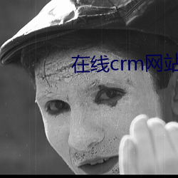 在线crm网站 （蚕纸）
