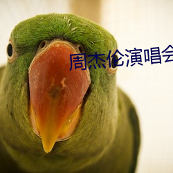 周杰伦演唱会高清 （雅兴）