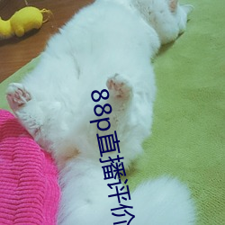 88p直(直)播(播)评价