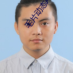 毛片動態APP