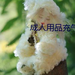 成人用品充气娃娃