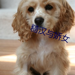 糙汉与娇女