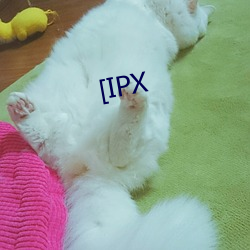 [IPX