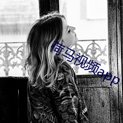 荷马视频app （内视反听）