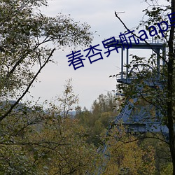 春杏異航aap導入