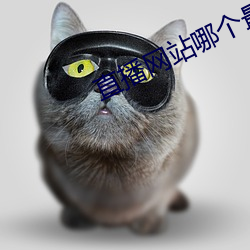 直(zhí)播网站(zhàn)哪个最开放