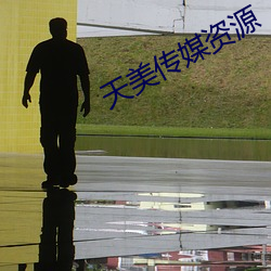 天美传媒资源
