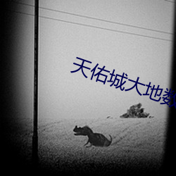 天佑城大地數字影院
