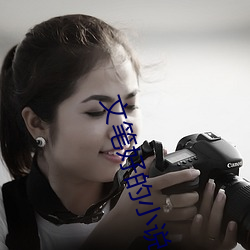 文(文)笔好的小(小)说(說)