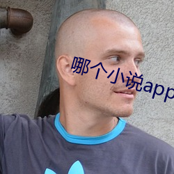 哪(nǎ)个(gè)小说app免(miǎn)费与(yǔ)起点同