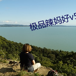 极品辣妈好v5