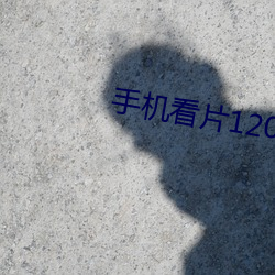 手机看片1204
