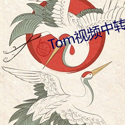 Tom視頻中轉站提示