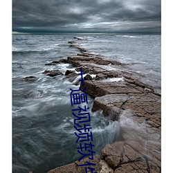 艹逼视频软件