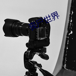 丧尸世界