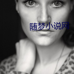 随梦小说网