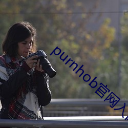 purnhob官网入口