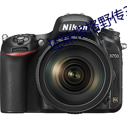 还珠格格野传3