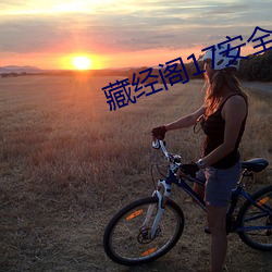 藏經閣17安全入口