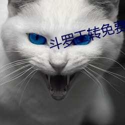斗罗玉转免费完整版漫画