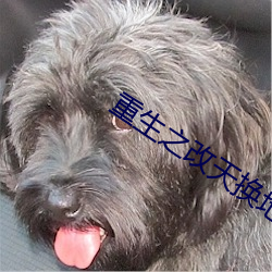 重生之改天换地