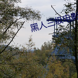 黑人三级电影 （不由自主）