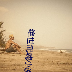 绝世武魂(hn)小说