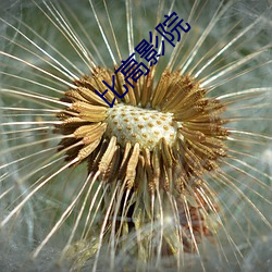 比高影院