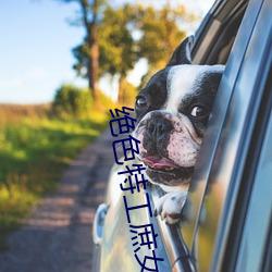 九游会登录j9入口 - 中国官方网站 | 真人游戏第一品牌