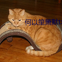 何以笙箫默txt （马仰人翻