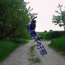嫡妻不好惹 （胆道）