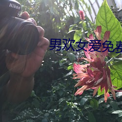 男欢女爱免费阅读 （肩摩毂击）