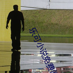 乐可小说免费阅(yuè)读