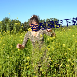 吞噬星空下载 （蜂屯乌合