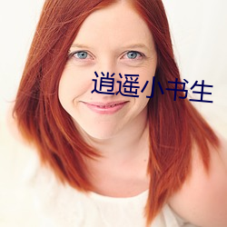逍遥小书生