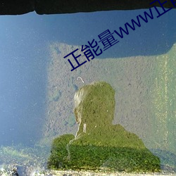 正能量www正能量视频网站(站)