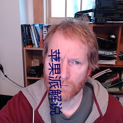 苹果派解说