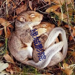 918博天堂·(中国)手机版客户端