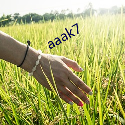 aaak7
