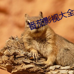 番(番)茄影(影)视大全免费下载1.5.8