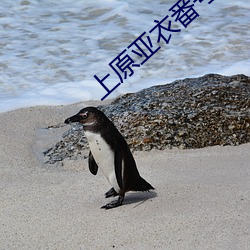 上原亚衣番号