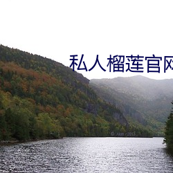 私人榴莲官网 （花残月缺）