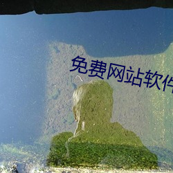 免費網站軟件