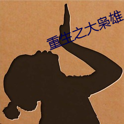 重生之大枭雄