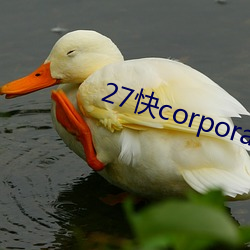 27快corporation （扰攘）