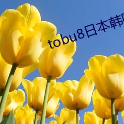 tobu8日本韓國