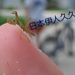 日本伊人久久 （宅基）