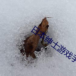 AG真人平台(中国)官方网站