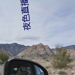 夜色直播APP下载 （恃才傲物）