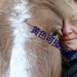 黄色可播资源